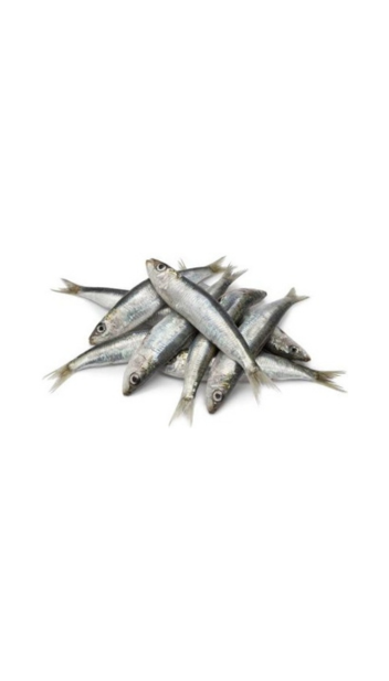 Petinga Extra Saco 850 Gr