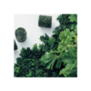 Grelos Covete Congelado 400gr
