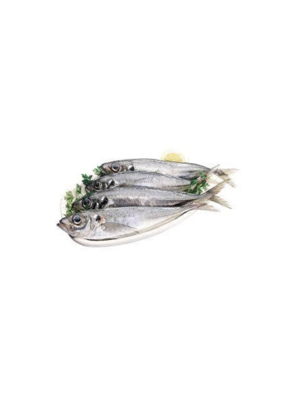 Carapaus Medias Saco Cong. 850 Gr