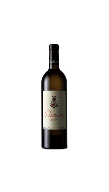 Cartuxa Colheita Witte Wijn DOC Evora/Alentejo/Portugal 0,75 L