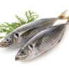 Carapau Pelim Saco Macrofrio 850 Gr