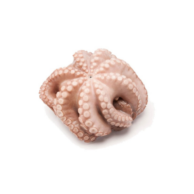 Polvo Octopus 1 a 2 Kg Verpakt Bevroren +/-1,5 Kg