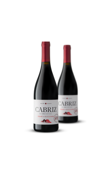 Cabriz Dão DOC Rode Wijn 0,75 cl