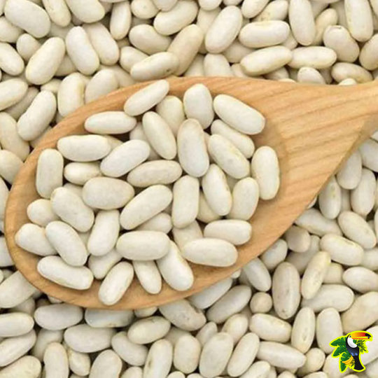 Cajumar Feijão Branco Fidalgo 500 Gr