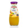 Compal Manga / Laranja Flesje 200 Ml